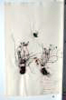Cyclamen hederifolium Aiton